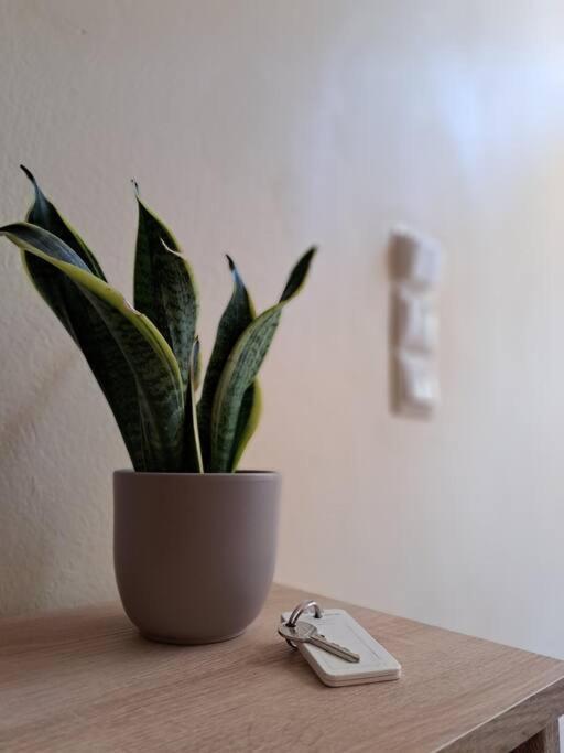 Corfu Town Cozy Apartment Ngoại thất bức ảnh